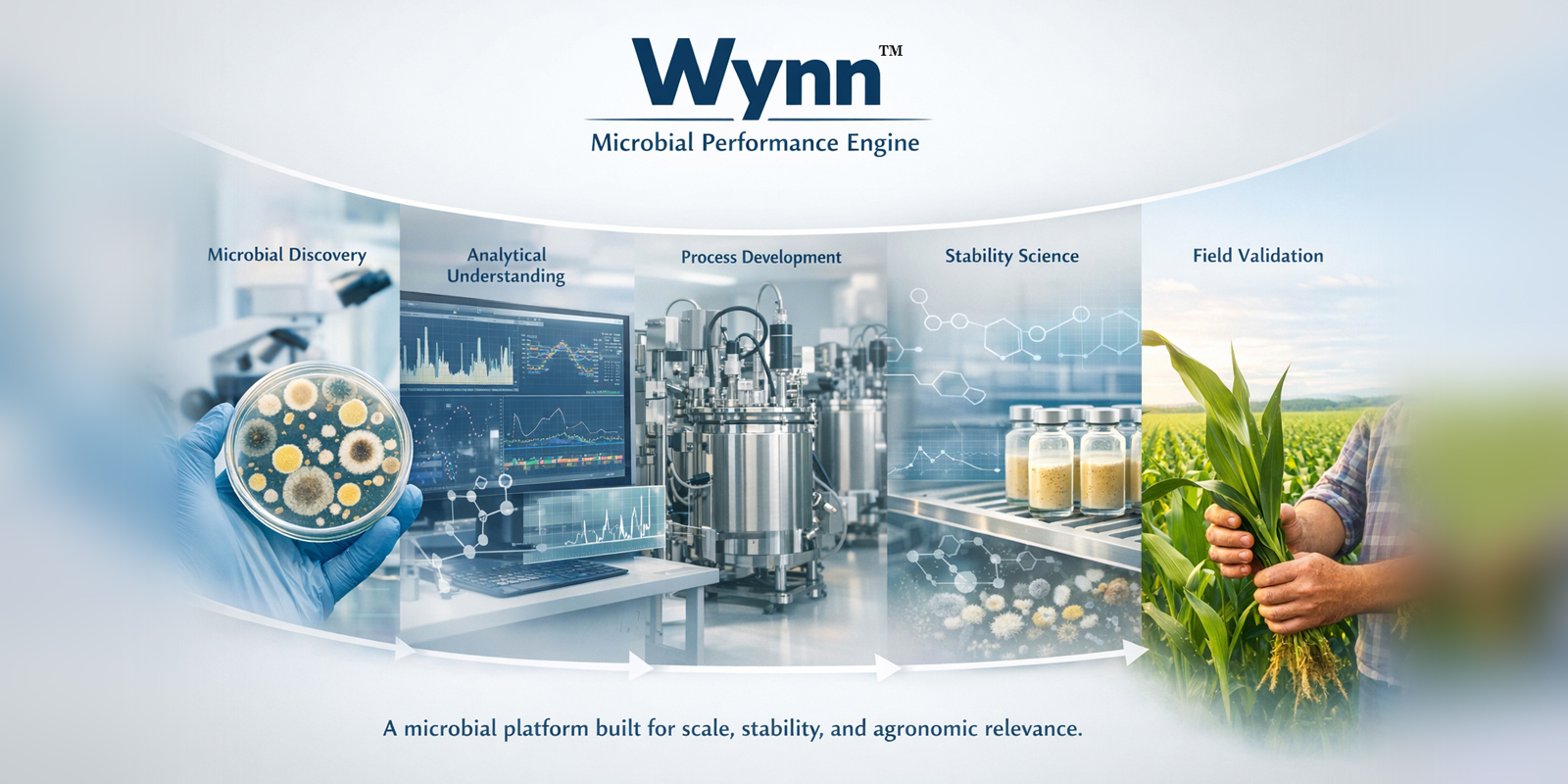 Wynn greenhouse and field validation trial